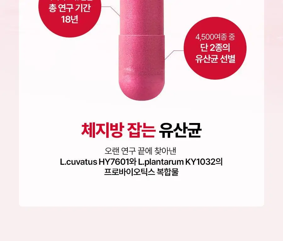 [1등 유산균] 콜레올로지 컷 다이어트 유산균 14/20캡슐 (7/10일분) 상세페이지 15